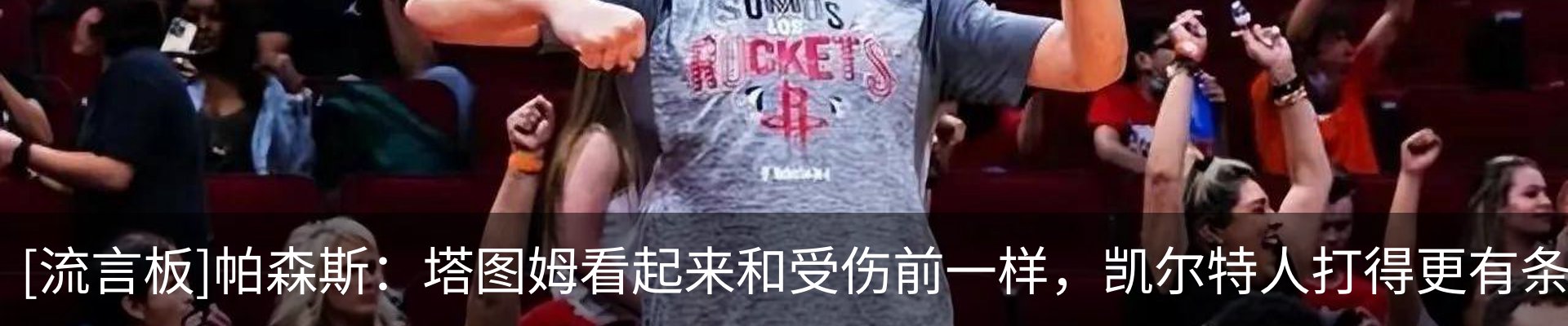 最新动态